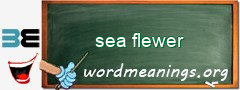 WordMeaning blackboard for sea flewer
